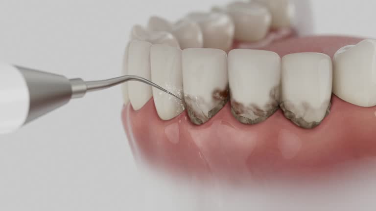 Reliable Dental contractor in Lynchburg, VA by Dentist Open Now